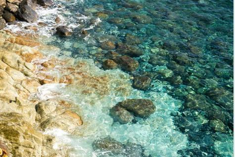 Residenza Mimosa Διαμέρισμα Varazze Εξωτερικό φωτογραφία